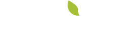 ORIGINALIUS Logo